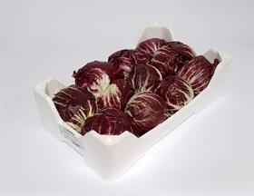 RADICCHIO ROSSO TONDO IT . . PD POLIS .