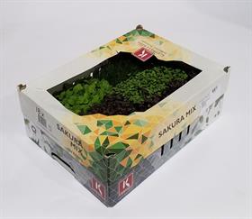 CRESS SAKURA MIX NL . . . .